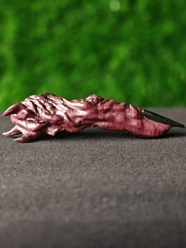 Ryomen Sukuna’s Finger